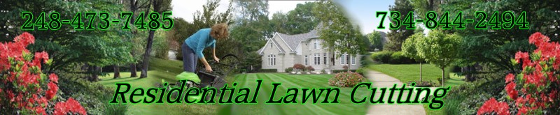 lawn cutting and lawn care services in southeast michigan